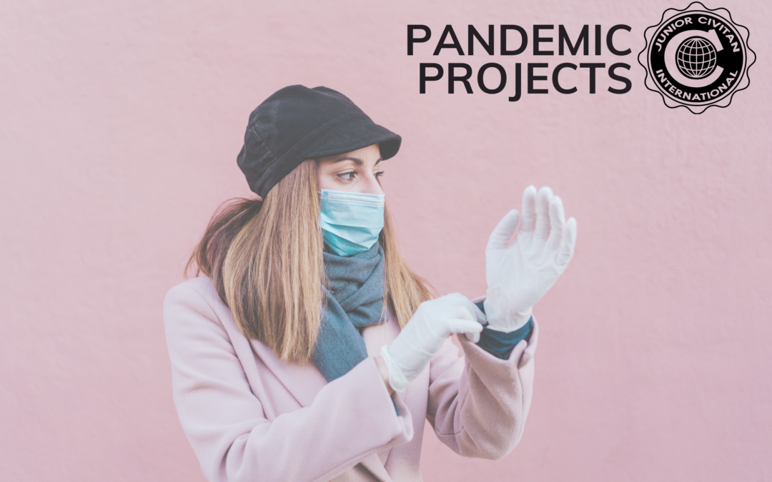 Pandemic Projects: Sandalwood High School